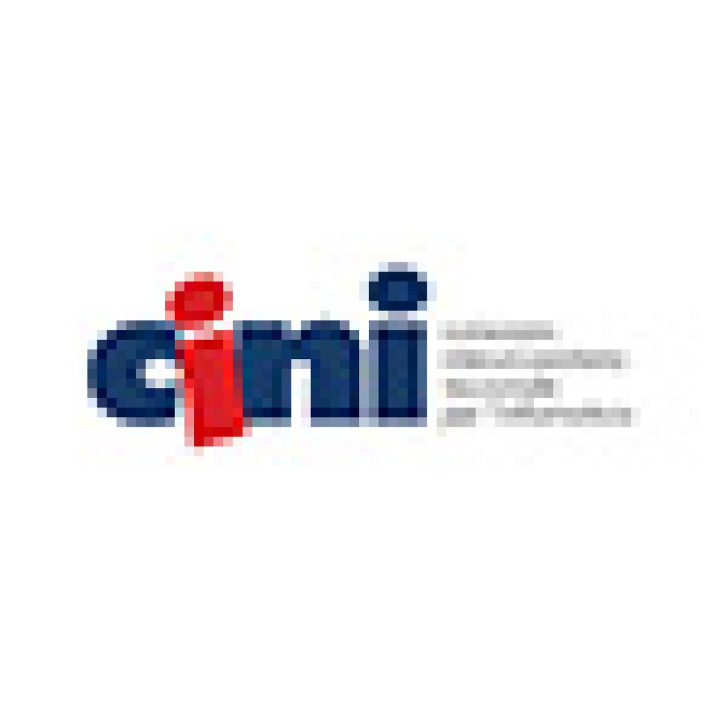 CINI logo.